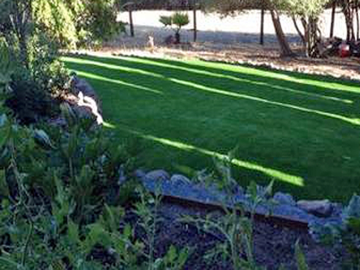 Synthetic Grass Millis-Clicquot Massachusetts Lawn Front