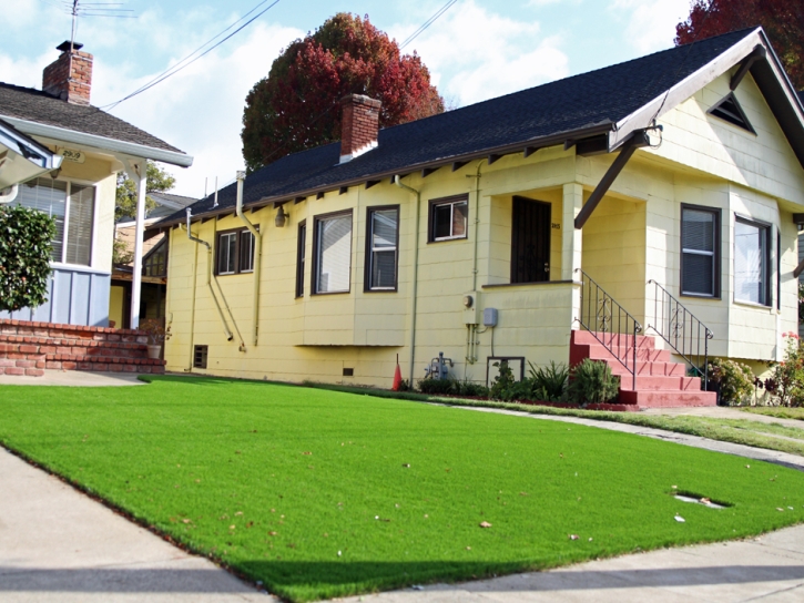 Synthetic Grass North Lakeville Massachusetts Landscape