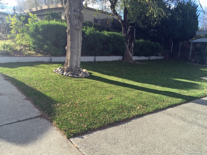 Synthetic Grass Plymouth Massachusetts Landscape Back Yard