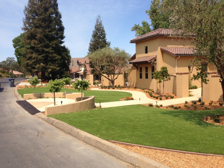 Synthetic Grass Randolph Massachusetts Landscape Back Yard