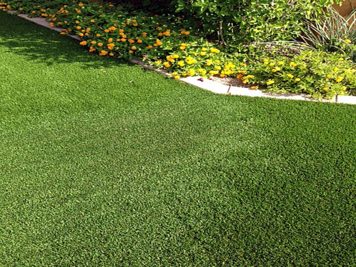 Synthetic Grass Raynham Massachusetts Landscape Back Yard