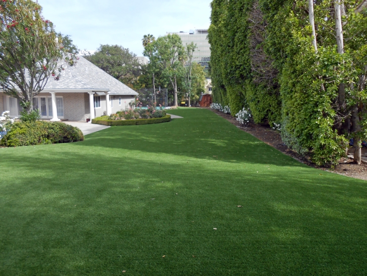 Synthetic Pet Grass Topsfield Massachusetts Installation