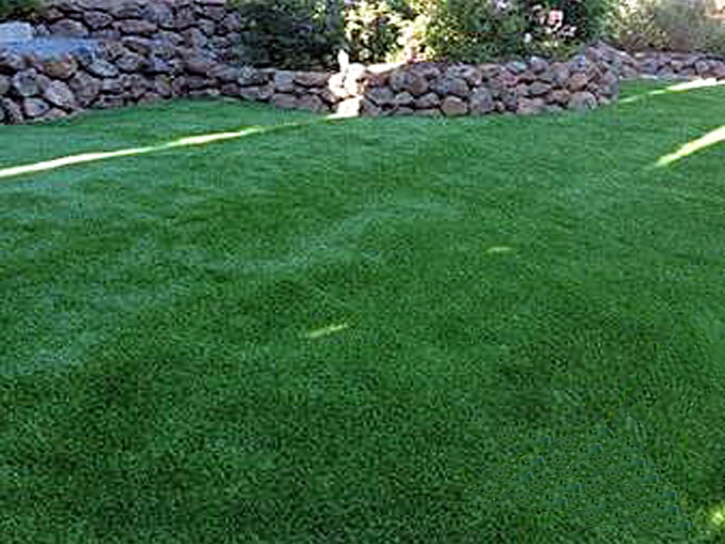 Synthetic Pet Turf Framingham Center Massachusetts Installation