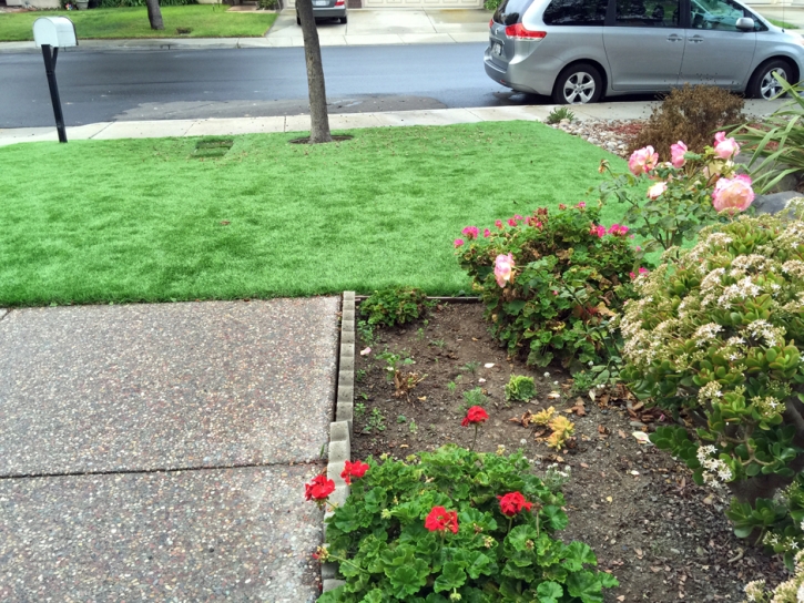 Synthetic Pet Turf Groton Massachusetts Installation Front