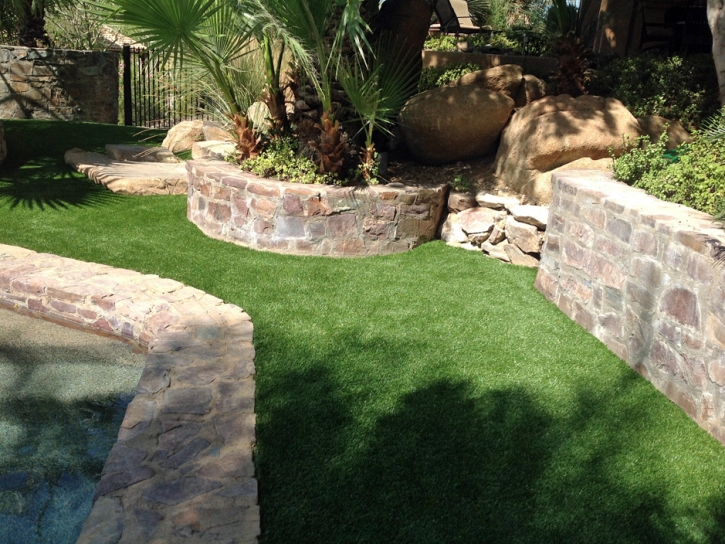 Synthetic Pet Turf Mansfield Massachusetts for Dogs Front