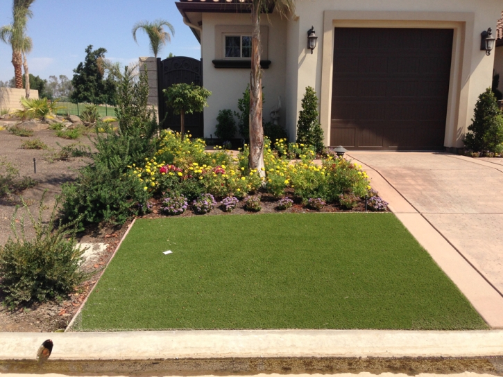 Synthetic Turf Abington Massachusetts Landscape Back Yard