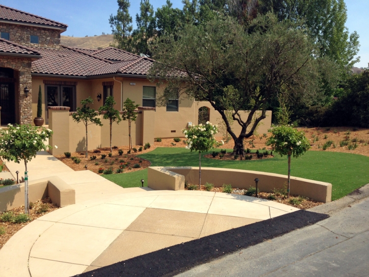 Synthetic Turf Abington Massachusetts Landscape Front Yard