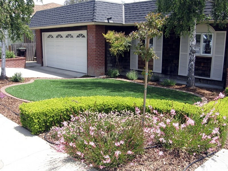 Synthetic Turf Blackstone Massachusetts Landscape