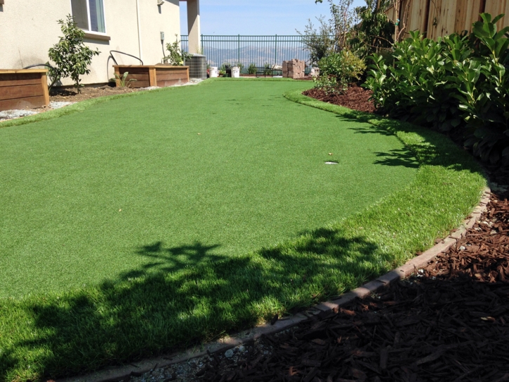 Synthetic Turf Burlington Massachusetts Lawn Front Yard