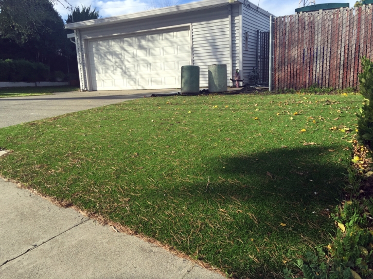 Synthetic Turf Pepperell Massachusetts Lawn