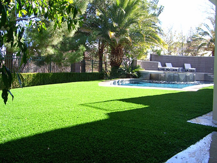 Synthetic Turf Sterling Massachusetts Landscape