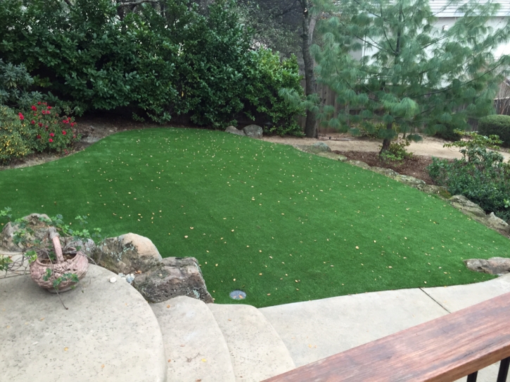 Synthetic Turf Whitinsville Massachusetts Landscape